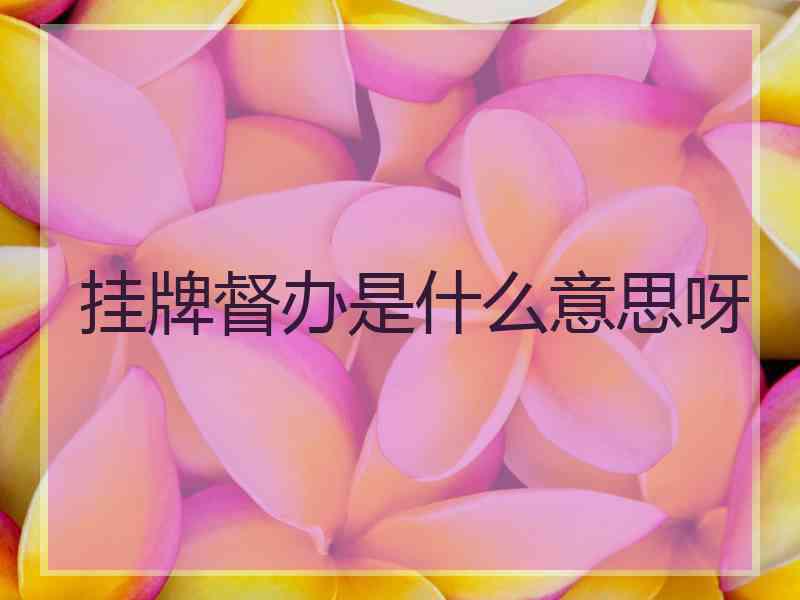 挂牌督办是什么意思呀