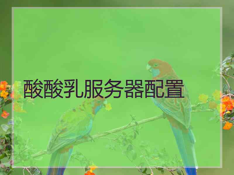 酸酸乳服务器配置