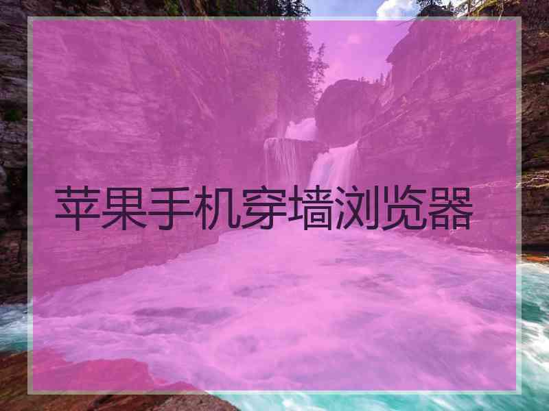 苹果手机穿墙浏览器