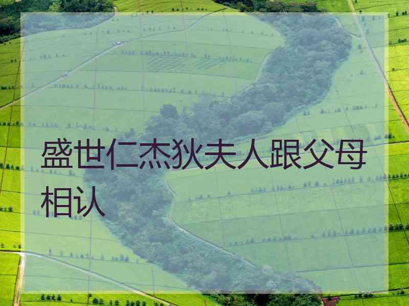 盛世仁杰狄夫人跟父母相认