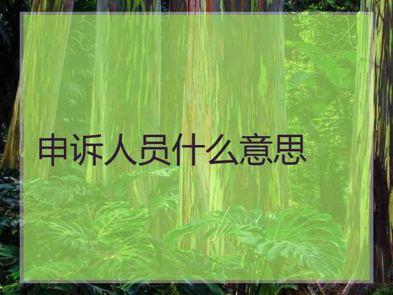 申诉人员什么意思