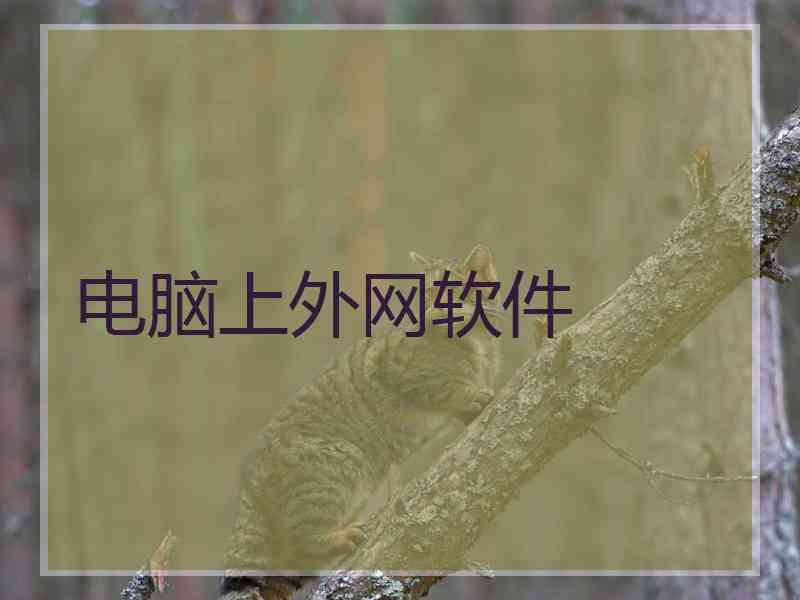 电脑上外网软件