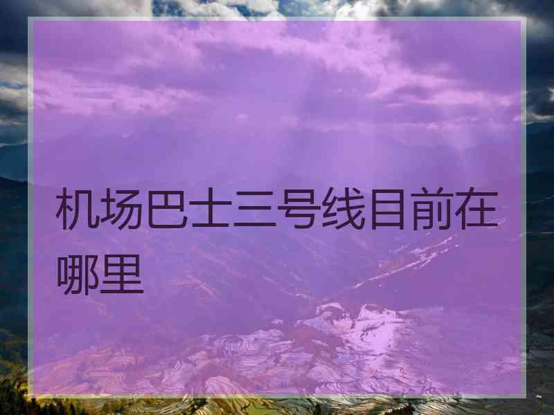 机场巴士三号线目前在哪里