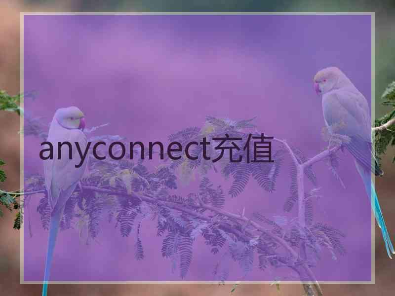 anyconnect充值
