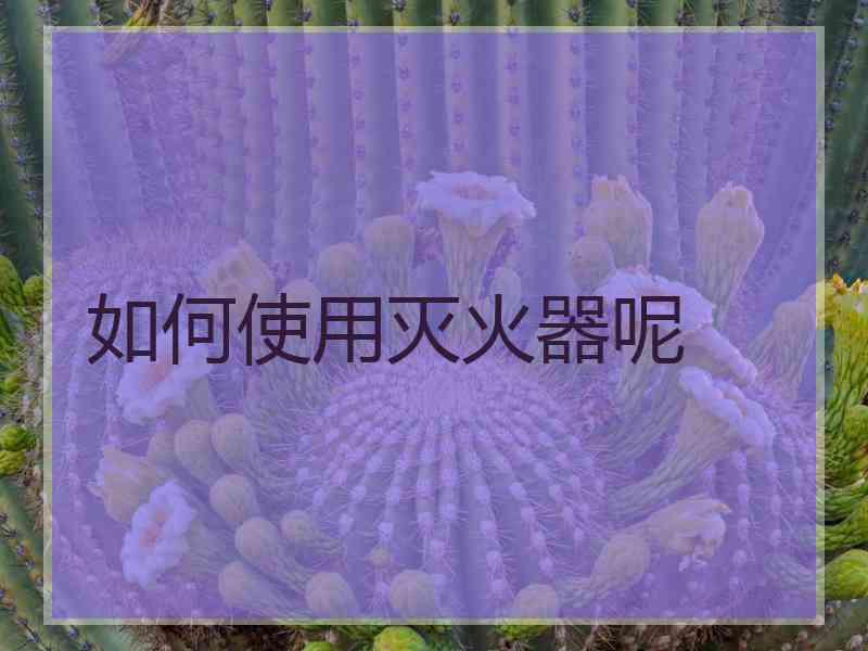 如何使用灭火器呢