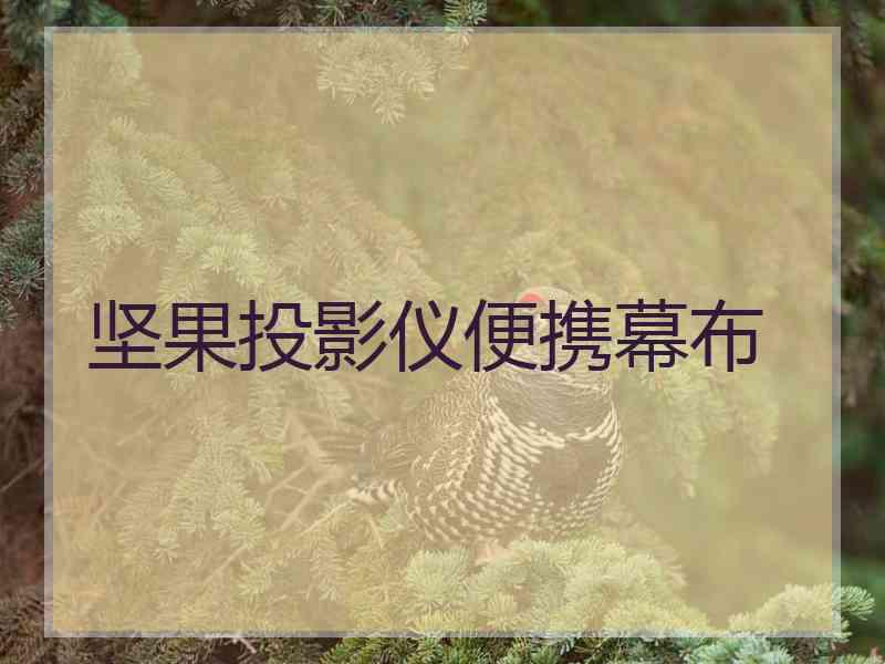 坚果投影仪便携幕布