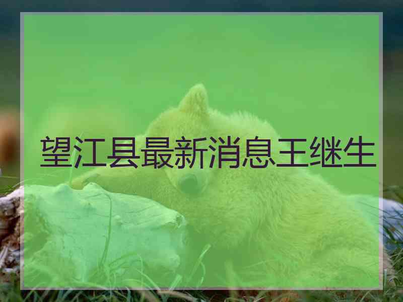 望江县最新消息王继生