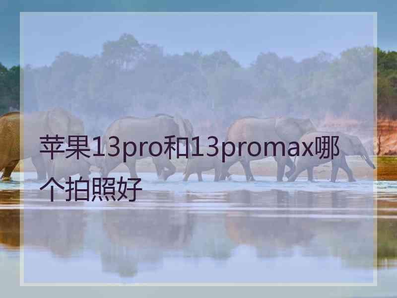苹果13pro和13promax哪个拍照好