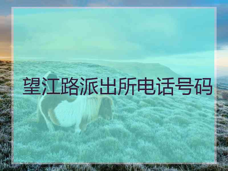 望江路派出所电话号码