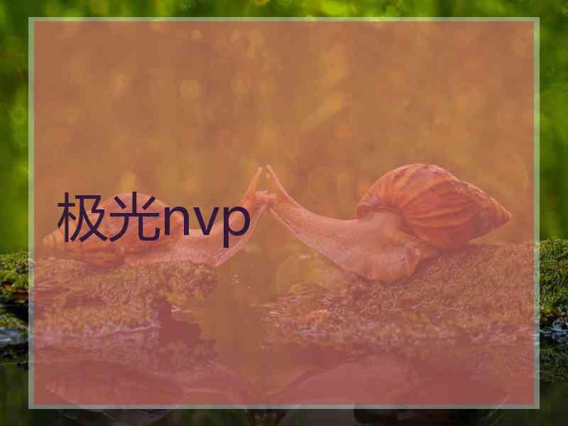 极光nvp