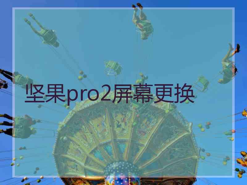 坚果pro2屏幕更换