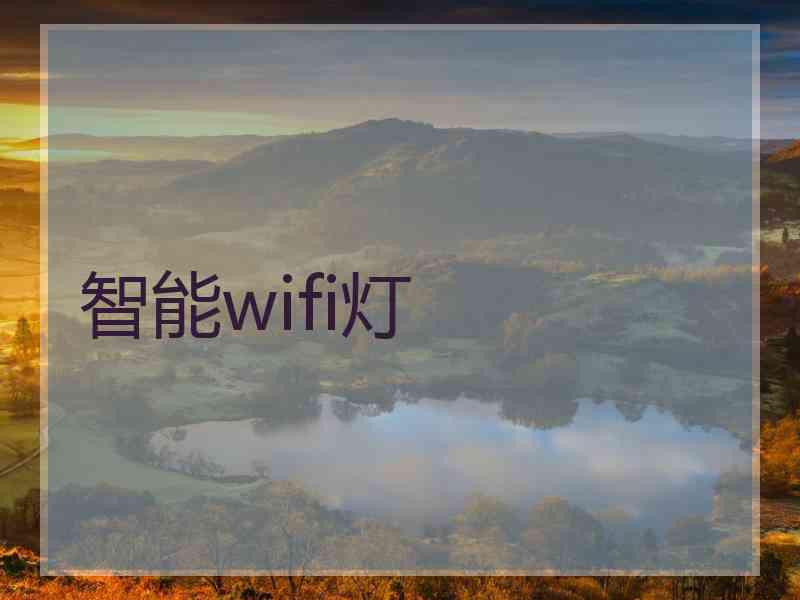 智能wifi灯