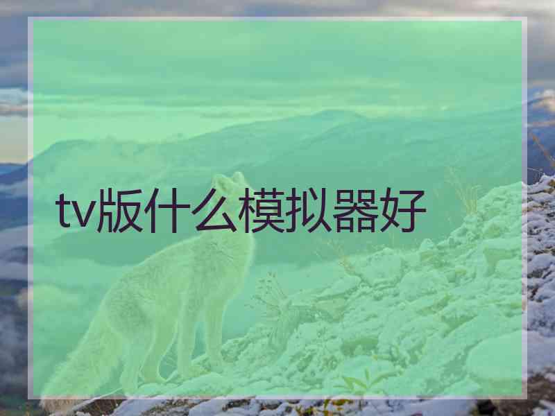 tv版什么模拟器好