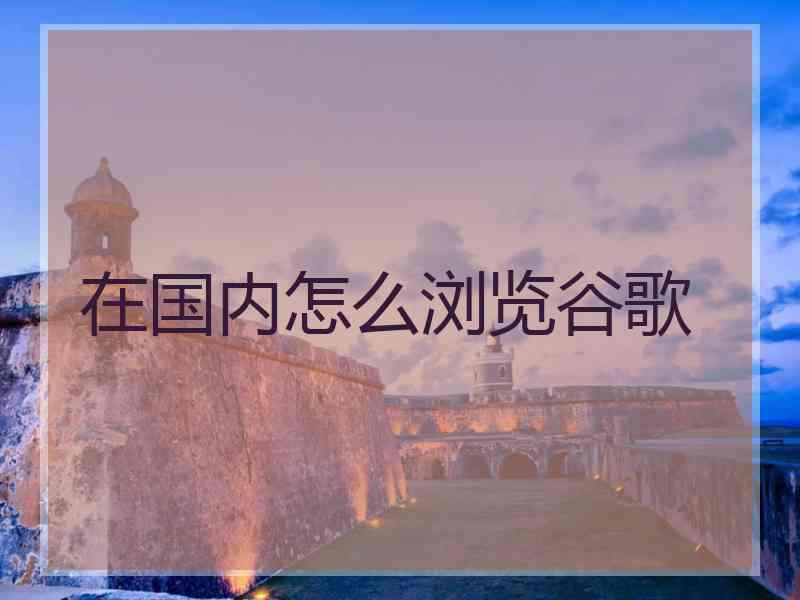 在国内怎么浏览谷歌