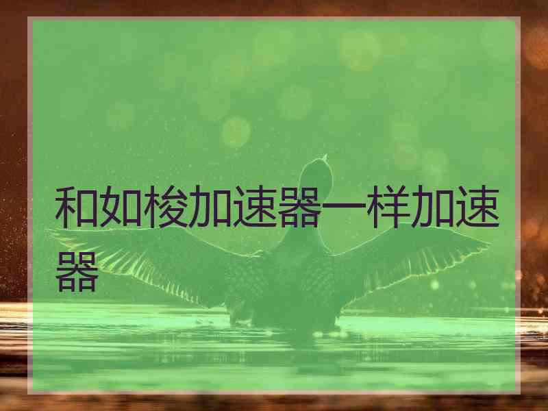 和如梭加速器一样加速器