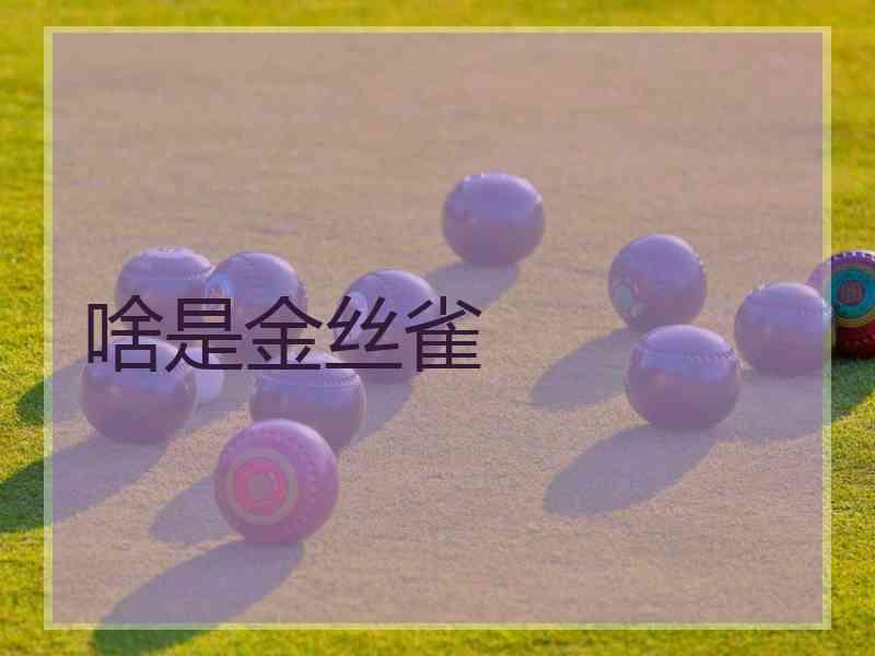 啥是金丝雀