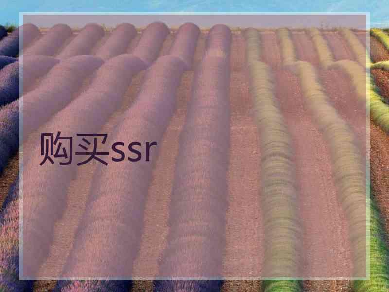 购买ssr