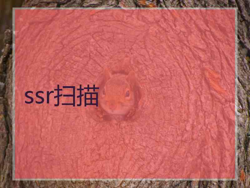 ssr扫描