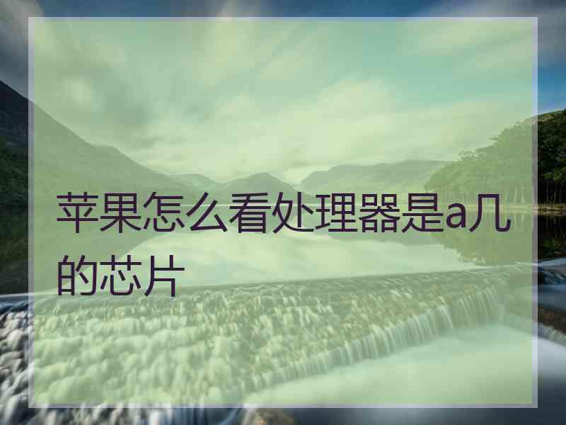 苹果怎么看处理器是a几的芯片