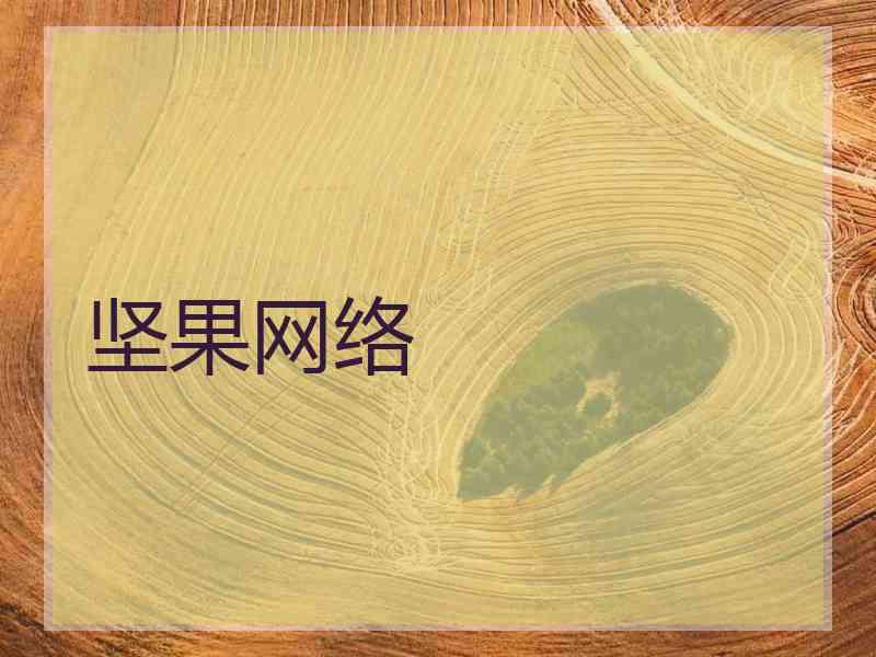 坚果网络