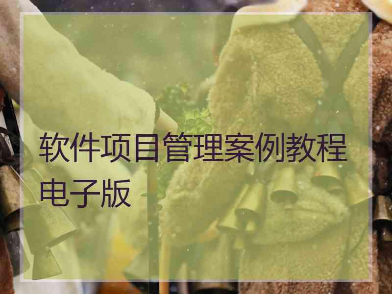 软件项目管理案例教程电子版