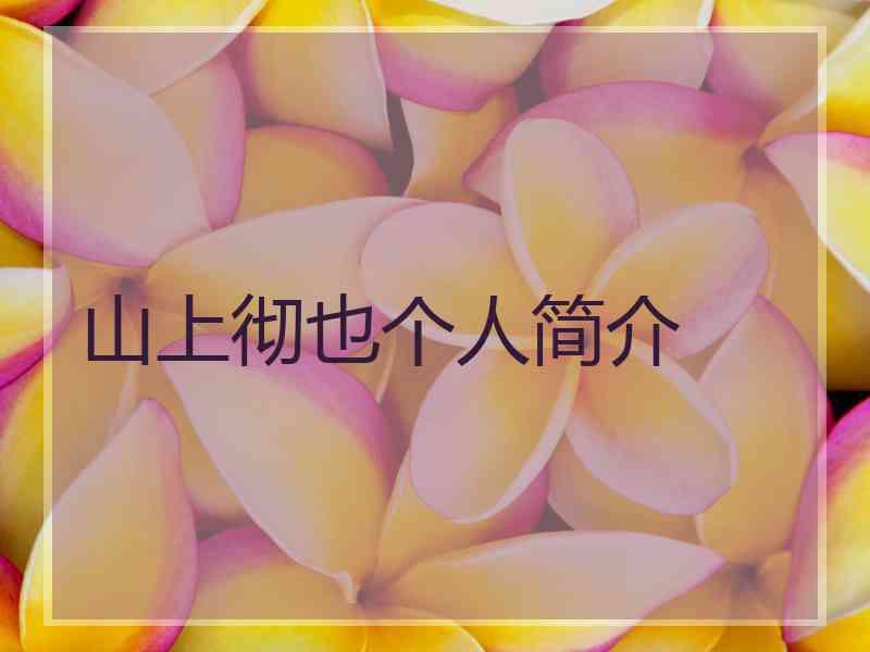 山上彻也个人简介