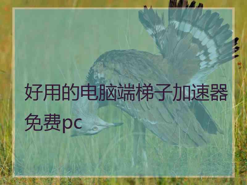 好用的电脑端梯子加速器免费pc