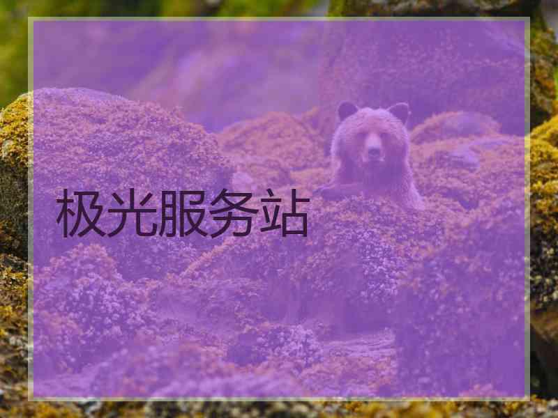极光服务站