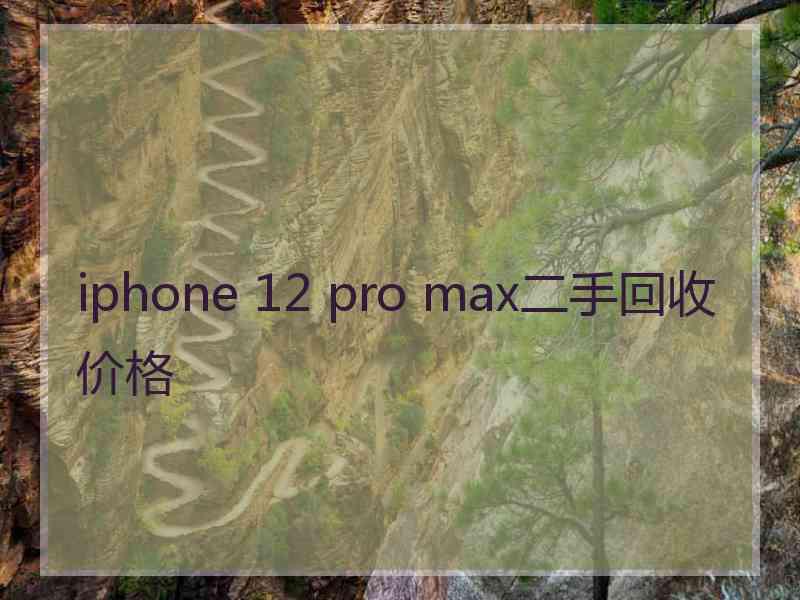 iphone 12 pro max二手回收价格