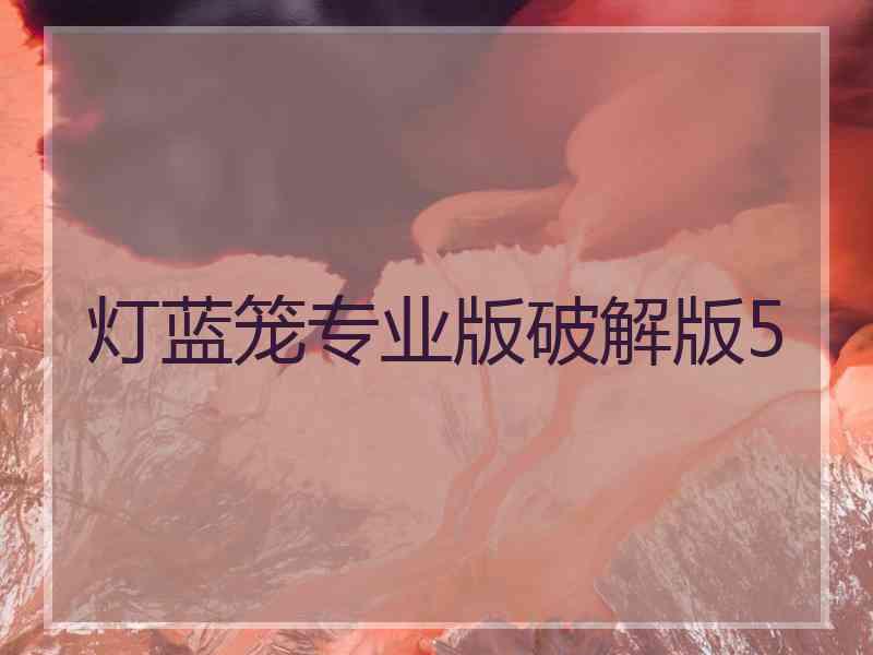 灯蓝笼专业版破解版5
