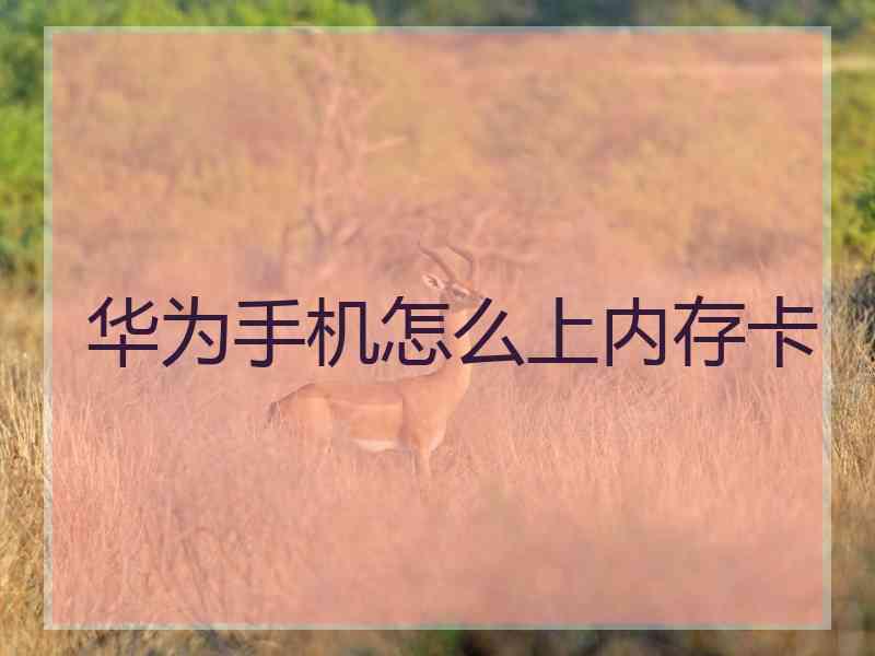 华为手机怎么上内存卡