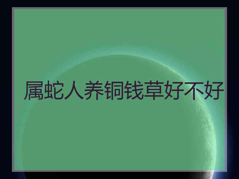 属蛇人养铜钱草好不好