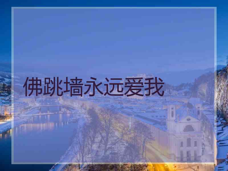 佛跳墙永远爱我