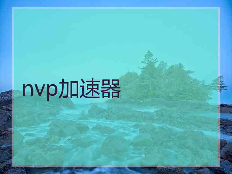 nvp加速器