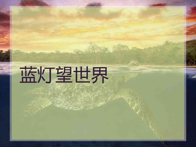 蓝灯望世界