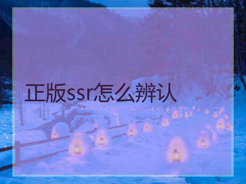 正版ssr怎么辨认