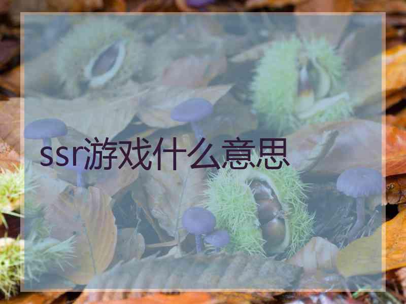 ssr游戏什么意思