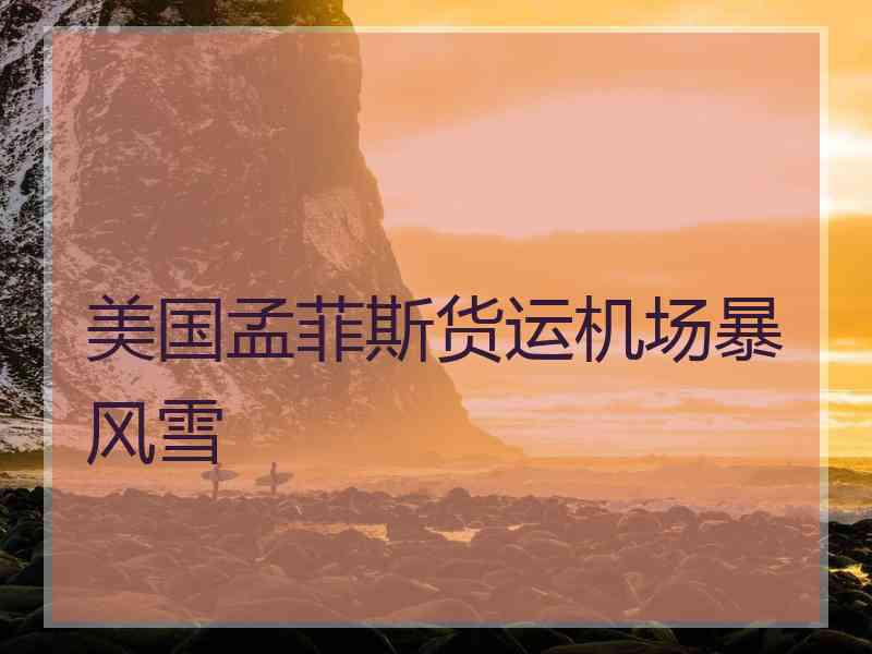美国孟菲斯货运机场暴风雪