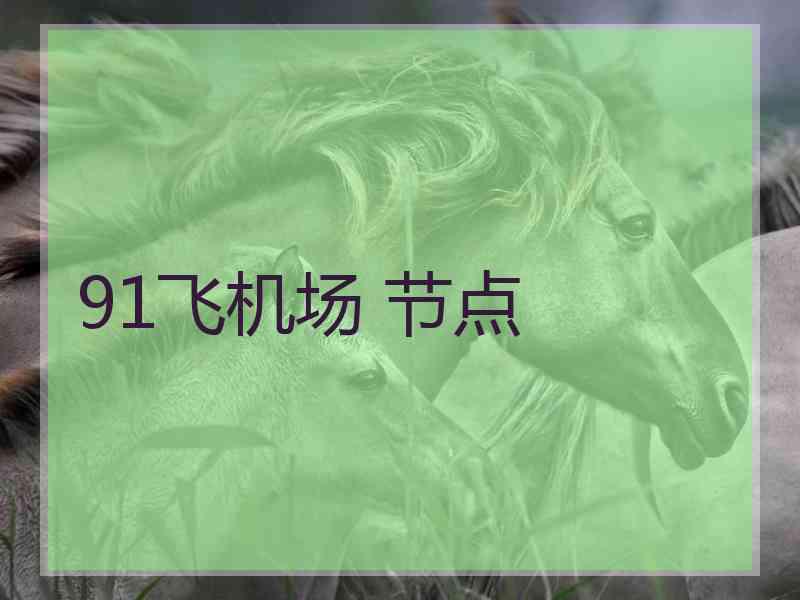 91飞机场 节点