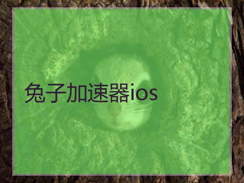 兔子加速器ios