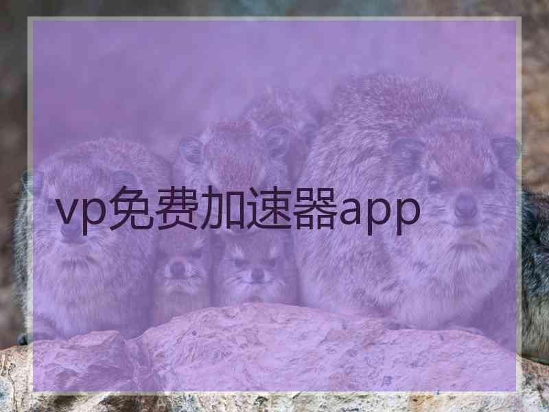 vp免费加速器app