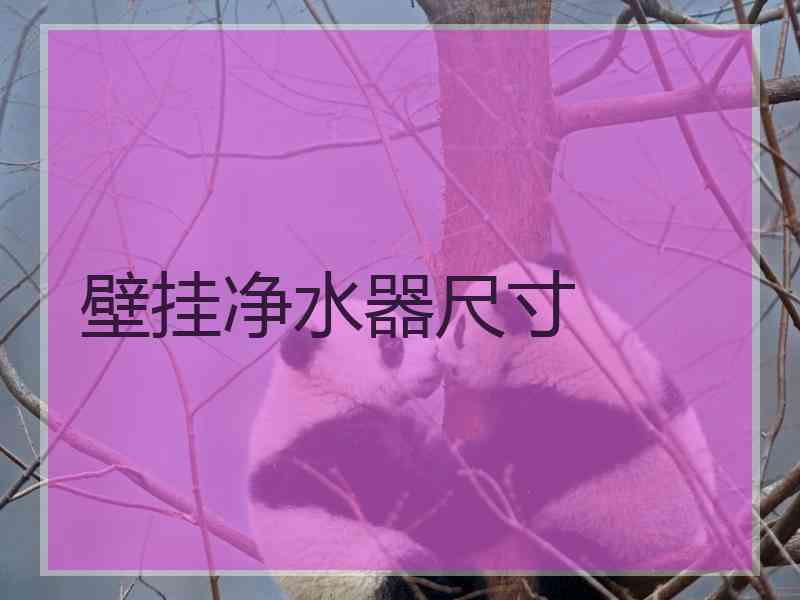 壁挂净水器尺寸