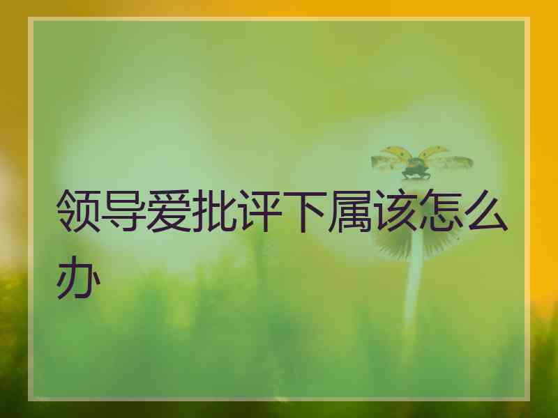 领导爱批评下属该怎么办