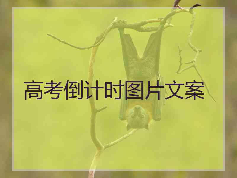 高考倒计时图片文案