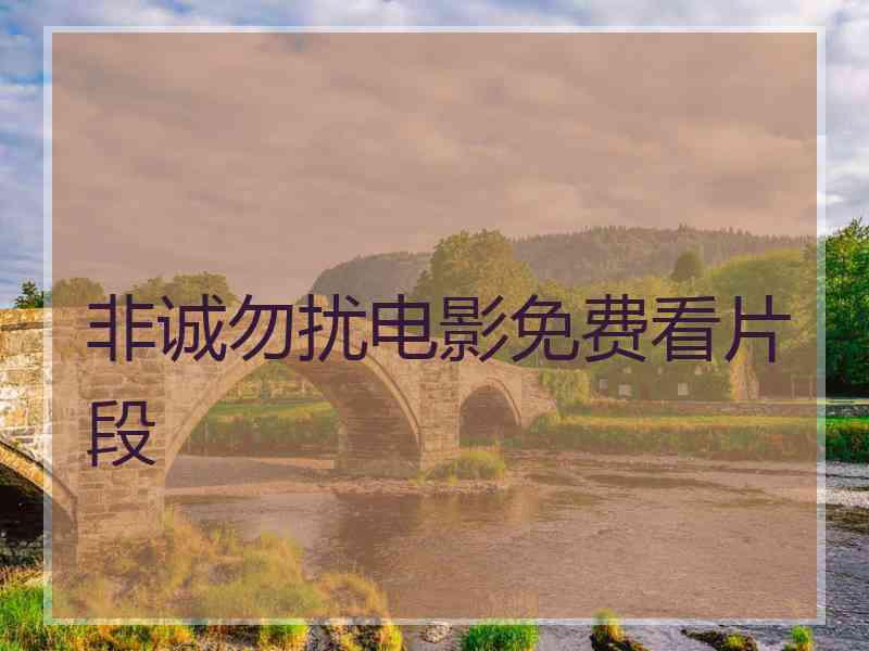 非诚勿扰电影免费看片段