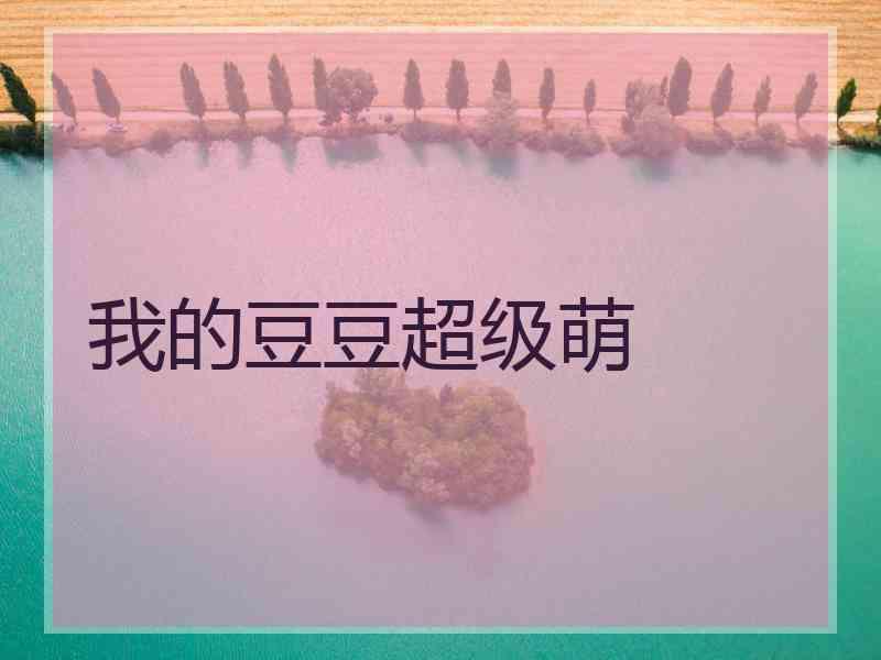 我的豆豆超级萌