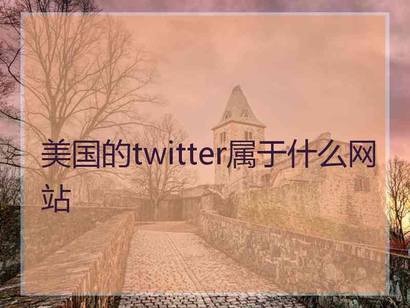 美国的twitter属于什么网站