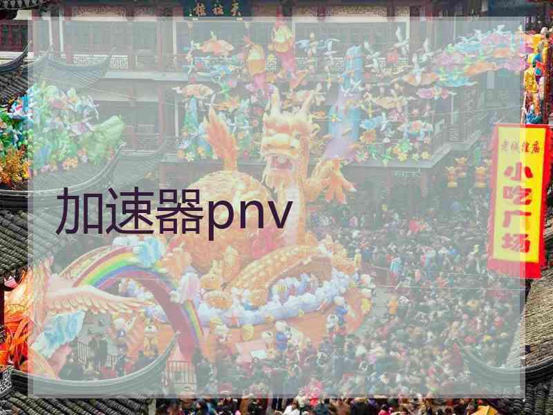 加速器pnv