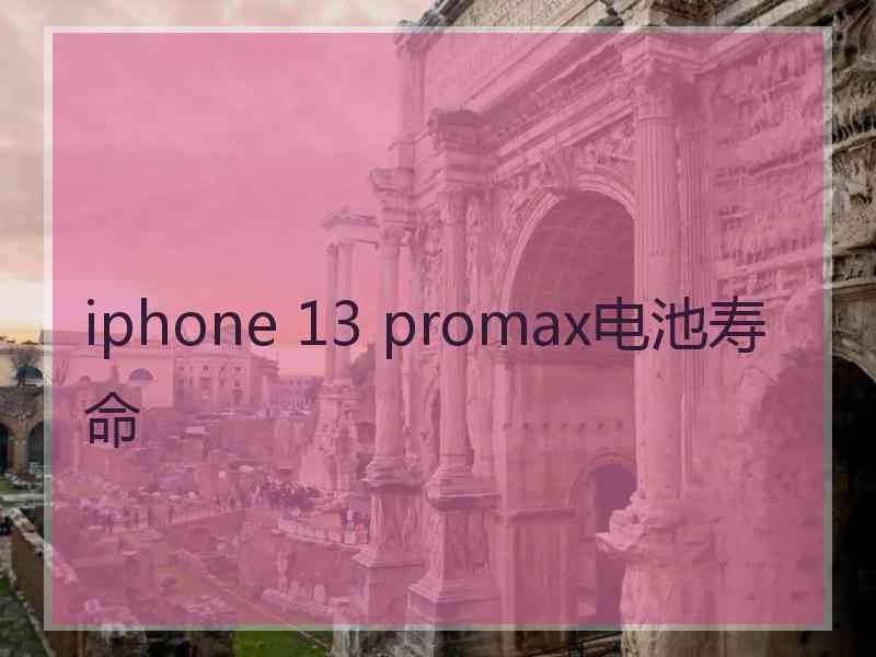 iphone 13 promax电池寿命