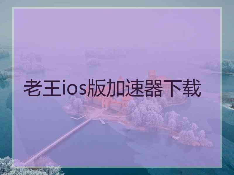 老王ios版加速器下载